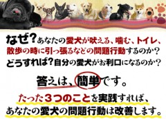 犬のしつけ.jpg