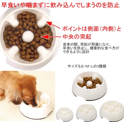 犬の早食い防止の食器 可愛いペット画像写真